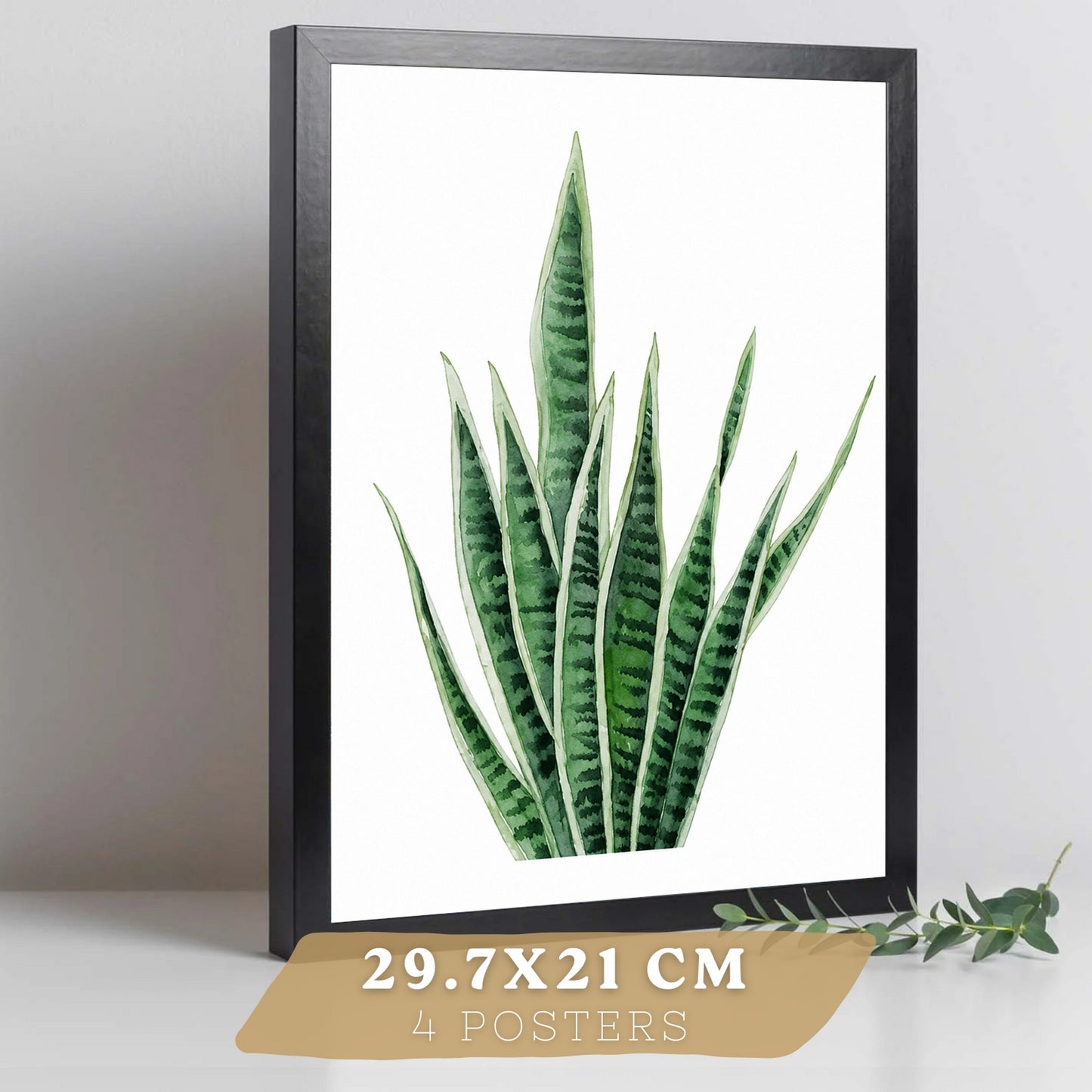 Posters Tropicales con Monstera, Sansevieria y Hojas de Plátano
