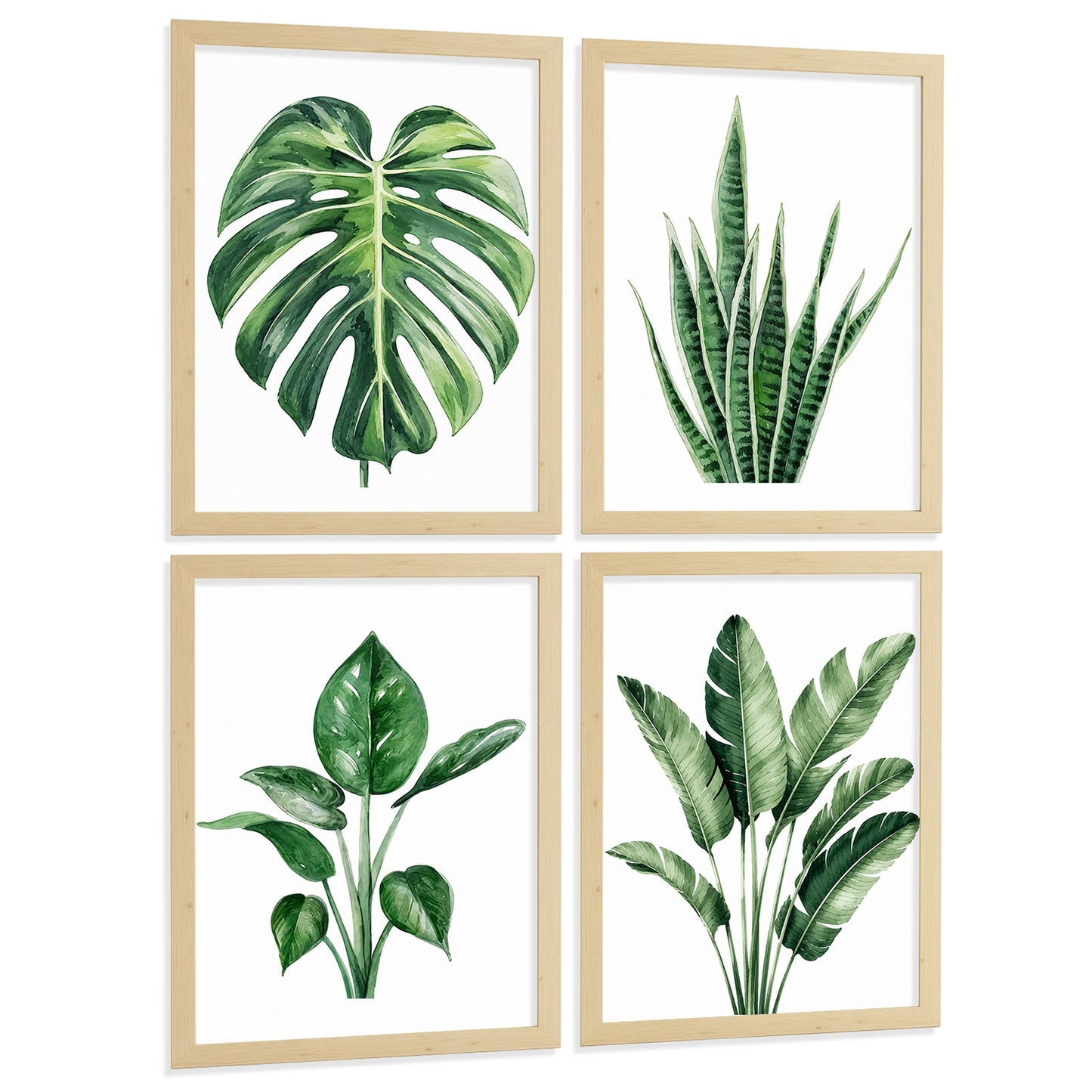Posters Tropicales con Monstera, Sansevieria y Hojas de Plátano