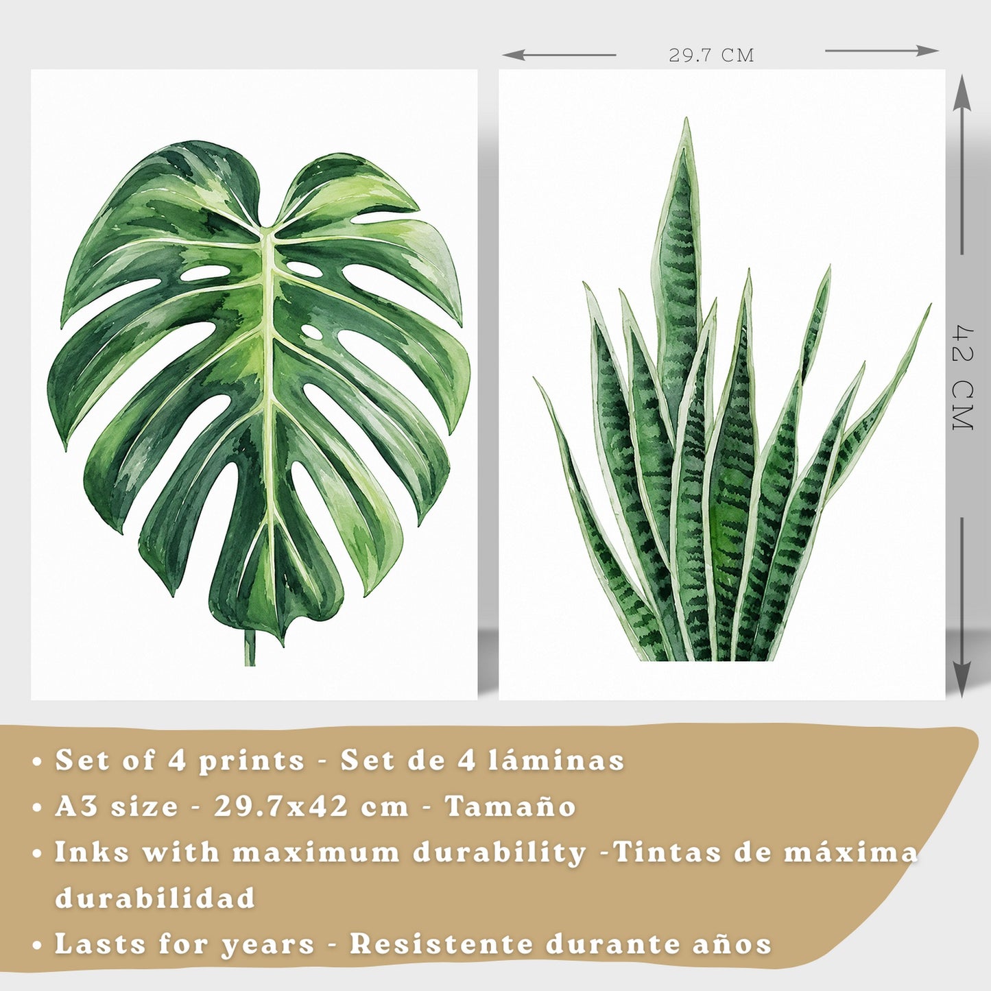 Posters Tropicales con Monstera, Sansevieria y Hojas de Plátano