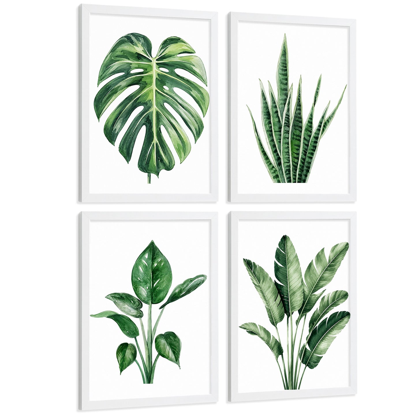 Posters Tropicales con Monstera, Sansevieria y Hojas de Plátano