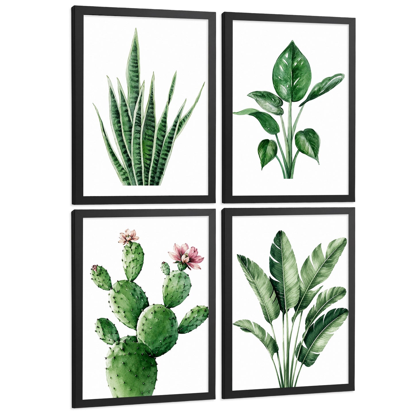 Posters decorativos Botánicos Tropicales con Hojas Verdes y Cactus