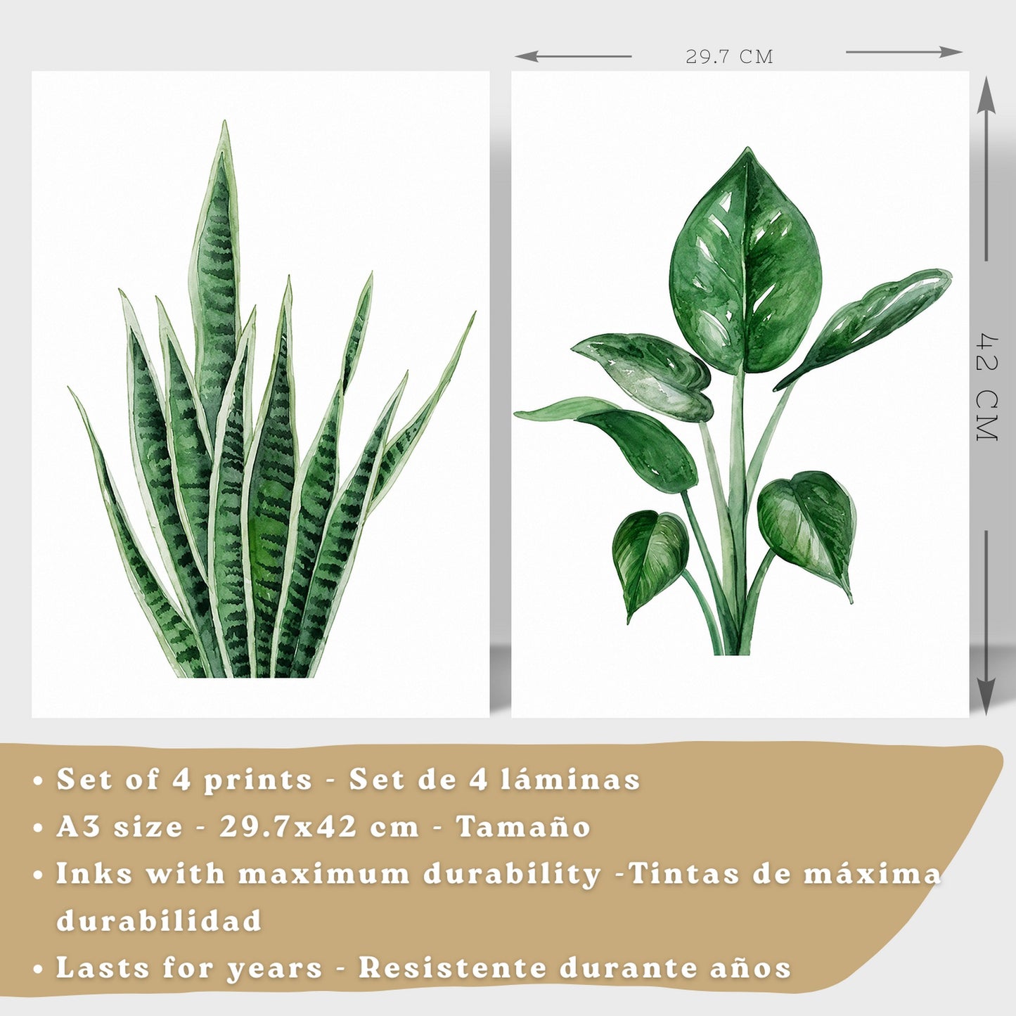 Posters decorativos Botánicos Tropicales con Hojas Verdes y Cactus