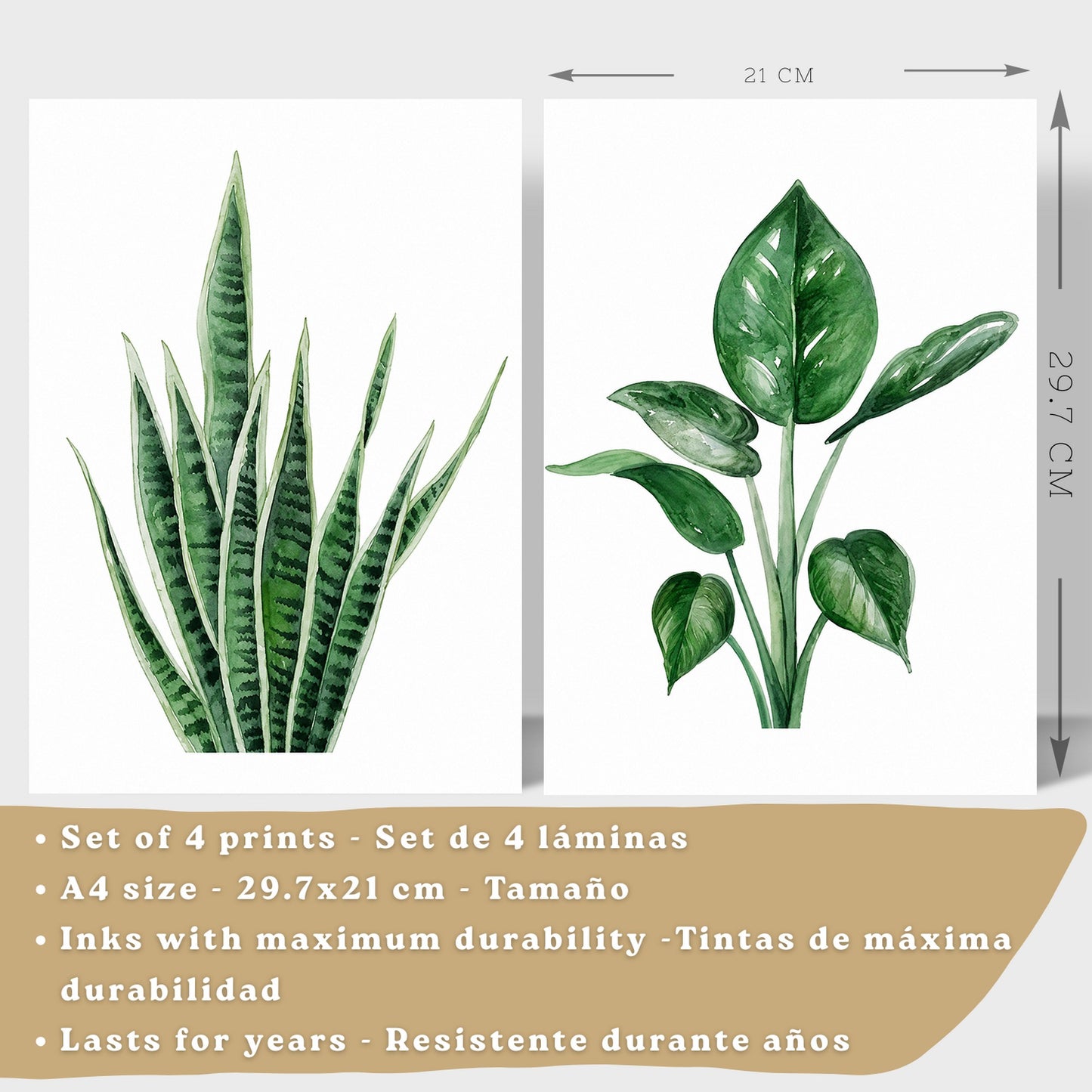 Posters decorativos Botánicos Tropicales con Hojas Verdes y Cactus