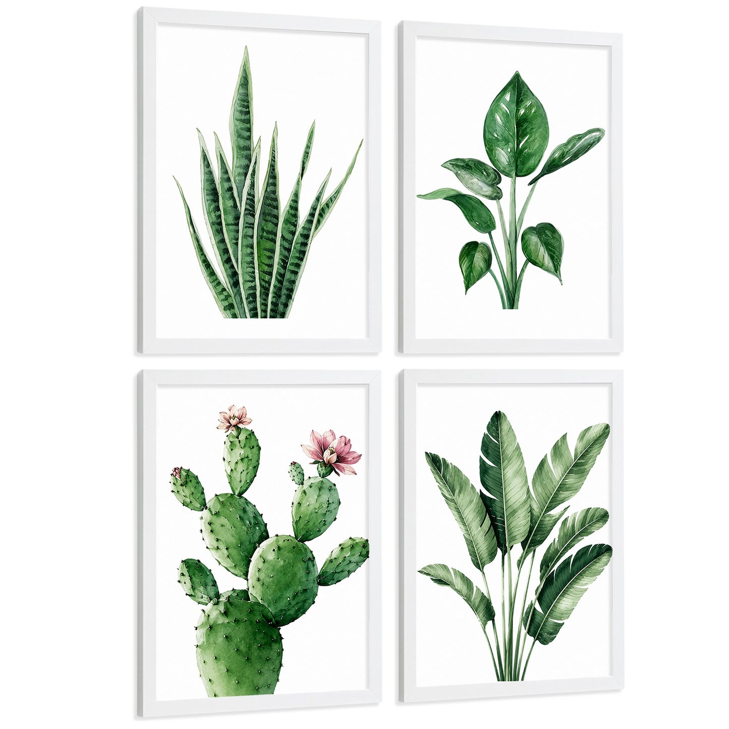 Posters decorativos Botánicos Tropicales con Hojas Verdes y Cactus