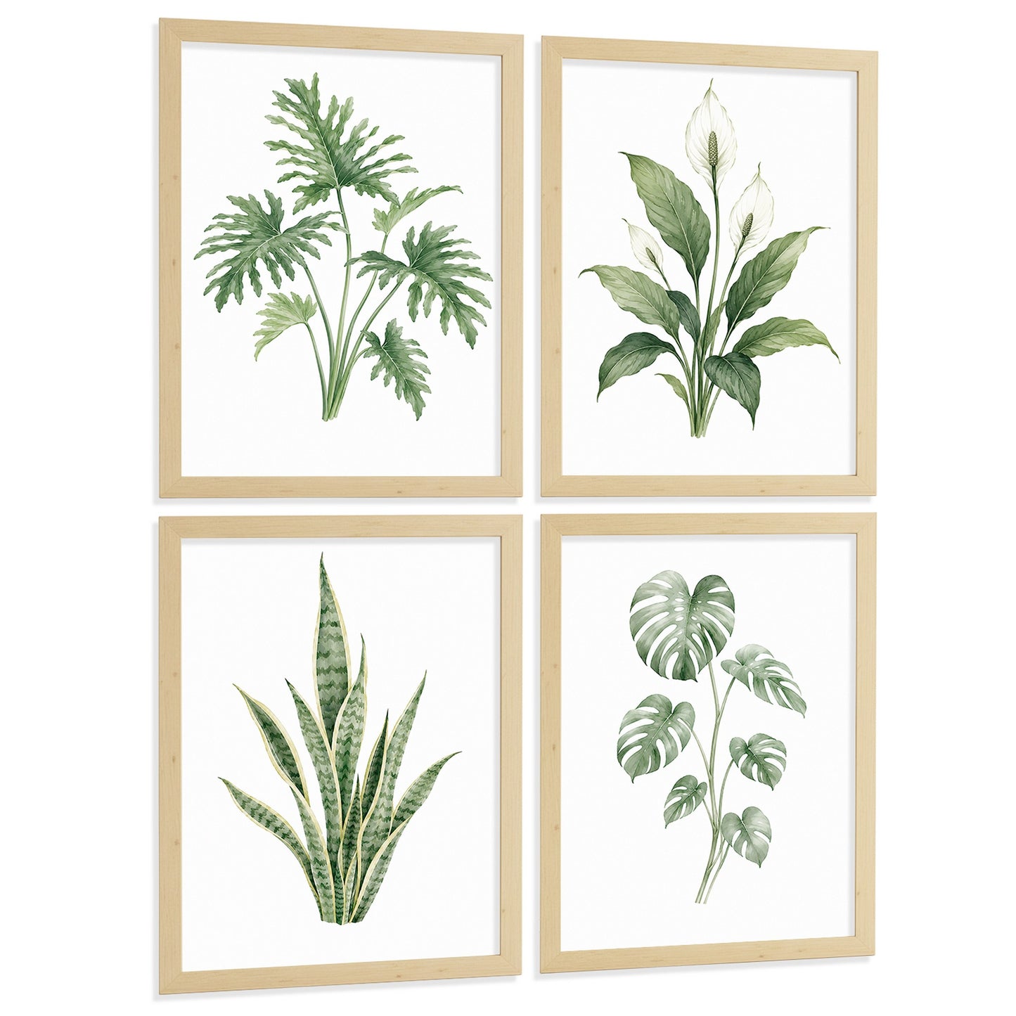 Posters Tropicales con Monstera, Sansevieria y Lirio de la Paz