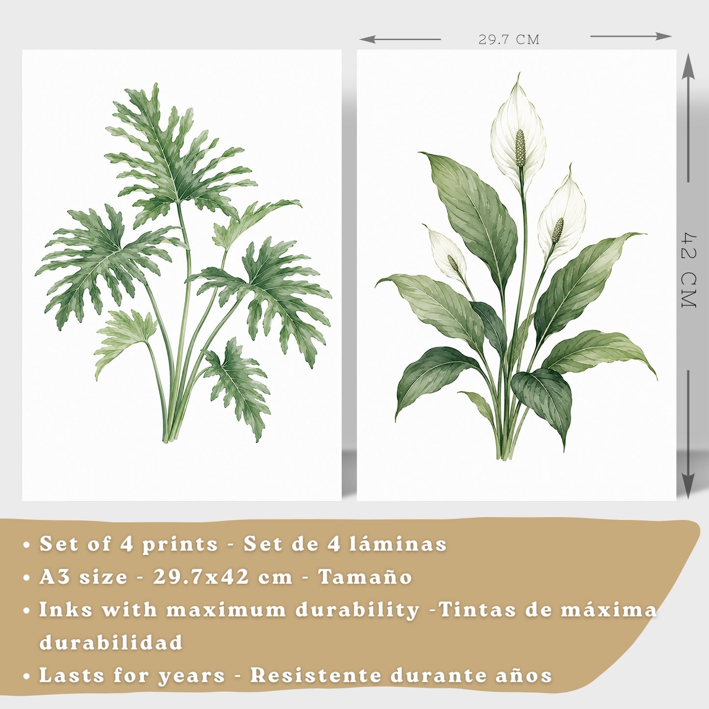 Posters Tropicales con Monstera, Sansevieria y Lirio de la Paz