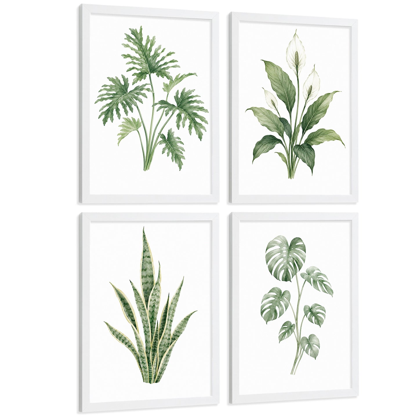 Posters Tropicales con Monstera, Sansevieria y Lirio de la Paz