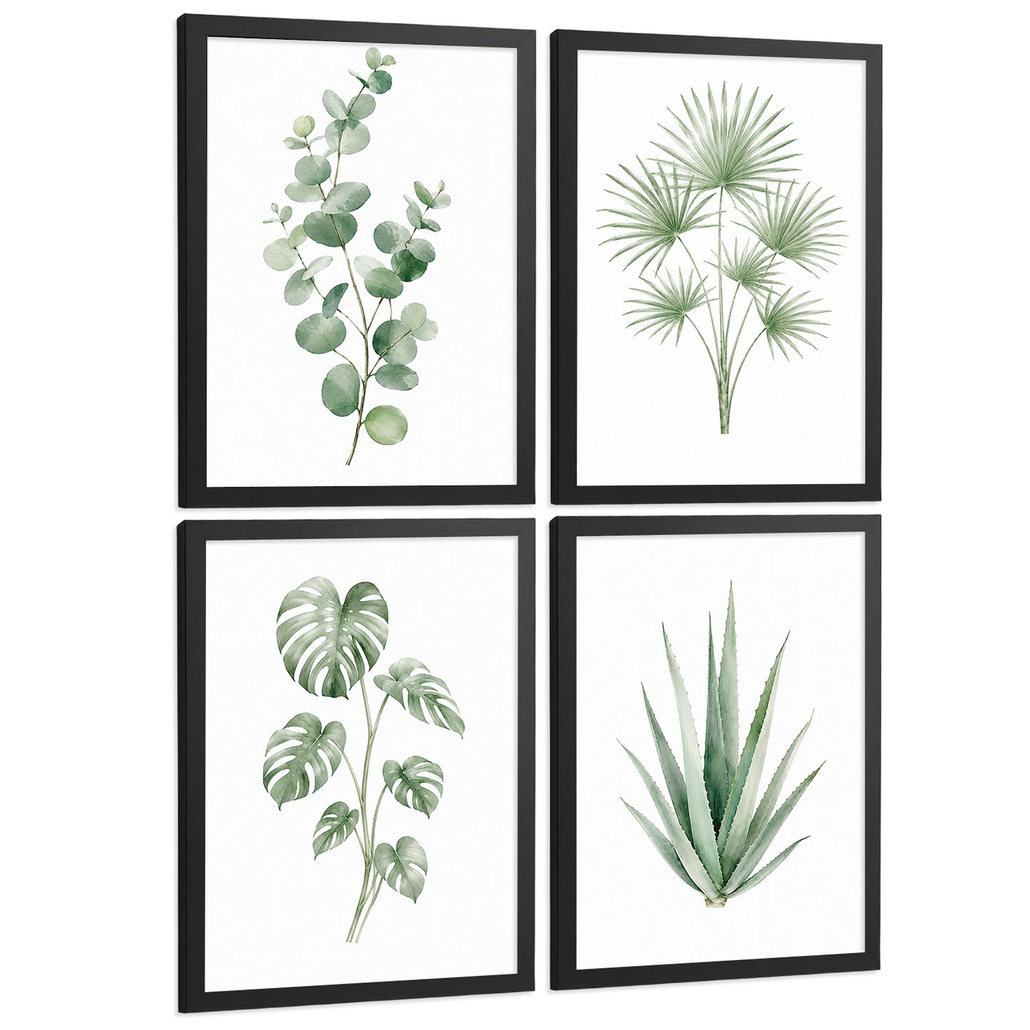 Posters Tropicales con Eucalipto, Monstera y Arte de Hojas de Palma