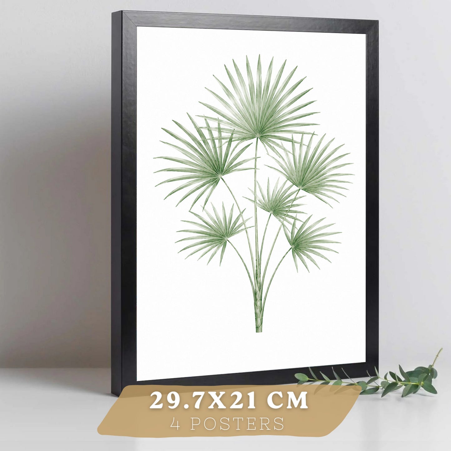 Posters Tropicales con Eucalipto, Monstera y Arte de Hojas de Palma