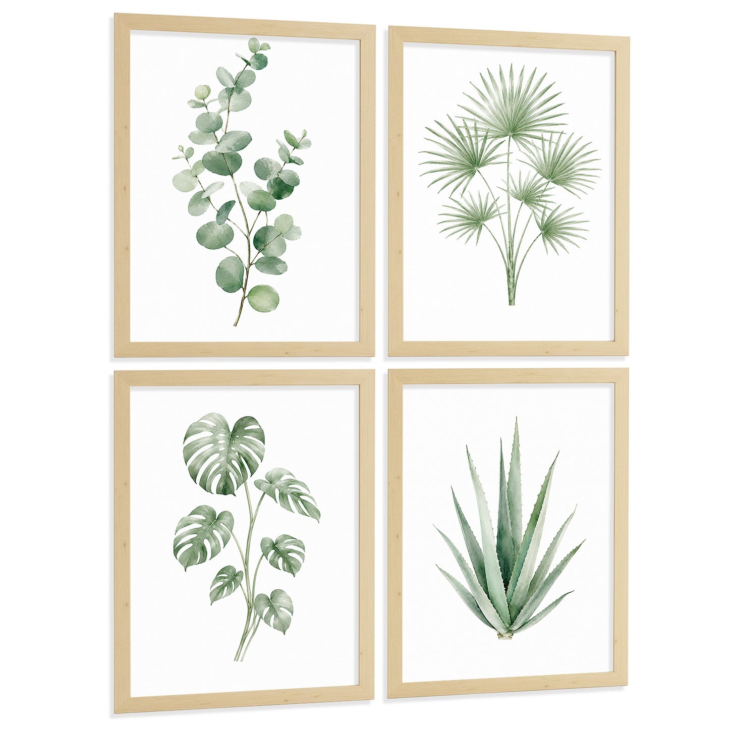 Posters Tropicales con Eucalipto, Monstera y Arte de Hojas de Palma