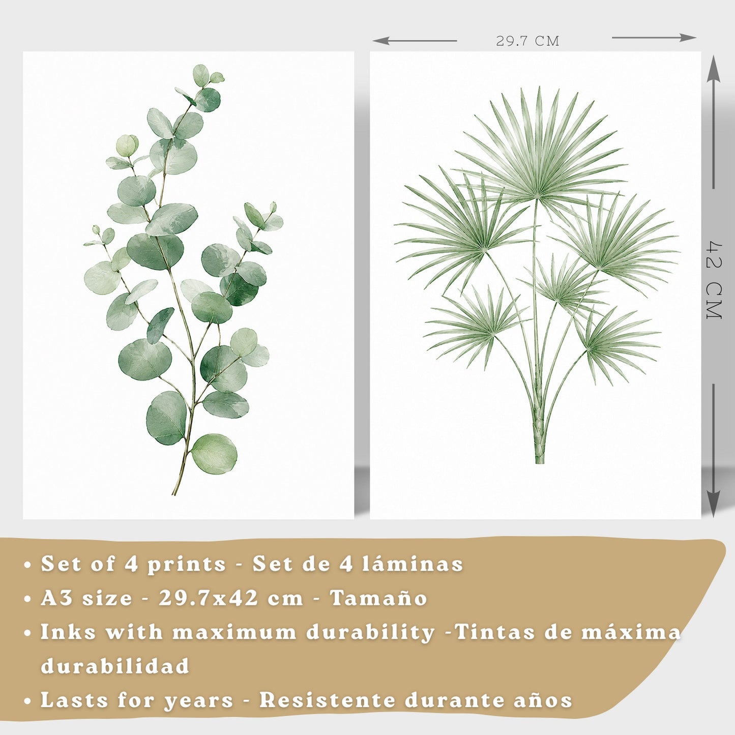 Posters Tropicales con Eucalipto, Monstera y Arte de Hojas de Palma