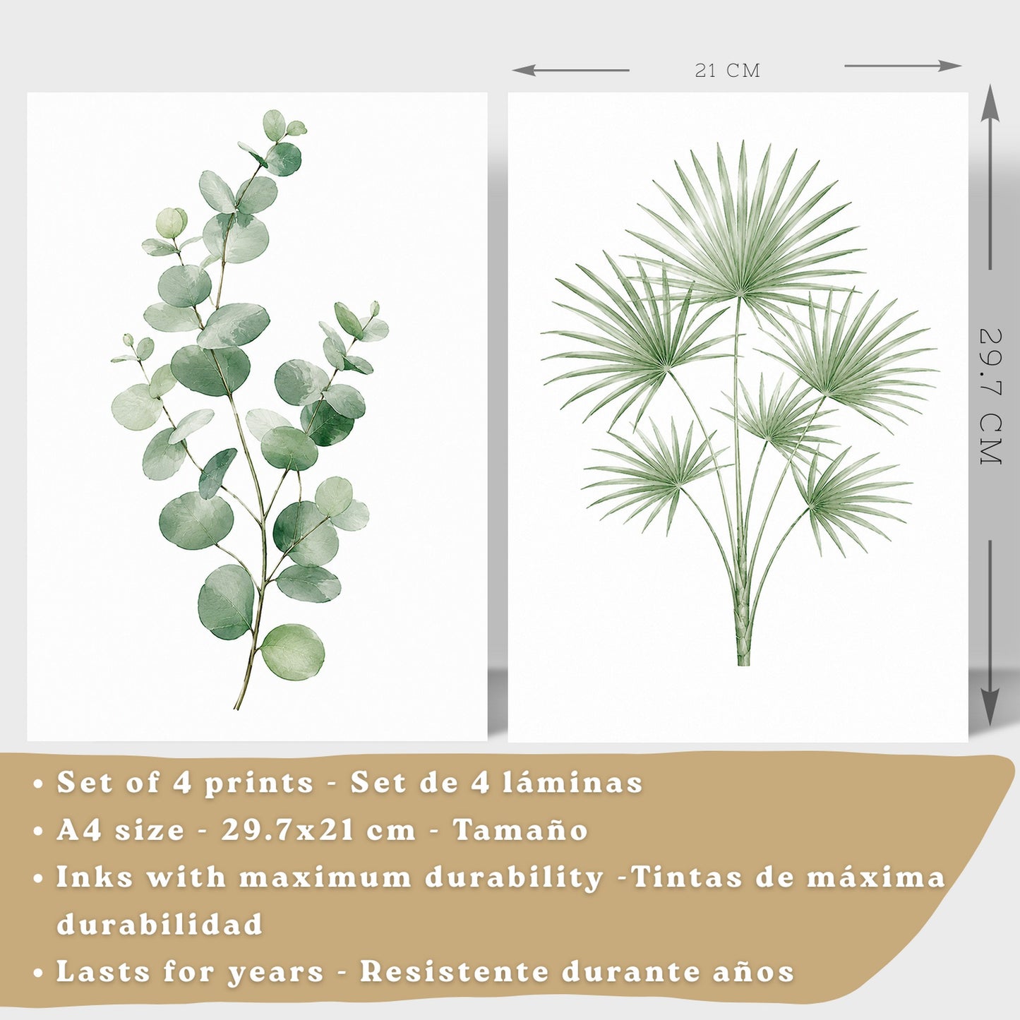 Posters Tropicales con Eucalipto, Monstera y Arte de Hojas de Palma