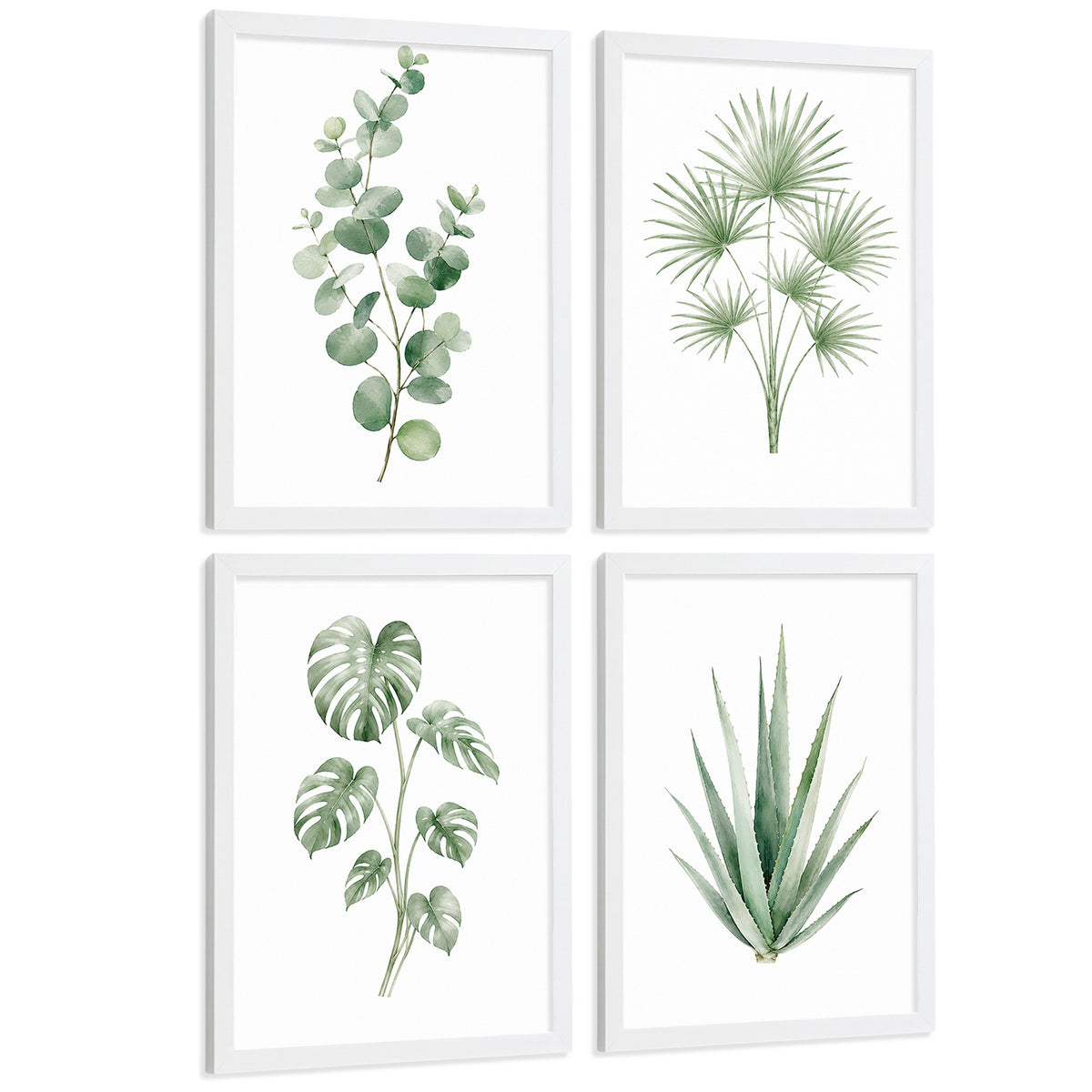 Posters Tropicales con Eucalipto, Monstera y Arte de Hojas de Palma