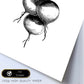 Poster de Rábano. Láminas de frutas y verduras.-Artwork-Nacnic-Nacnic Estudio SL