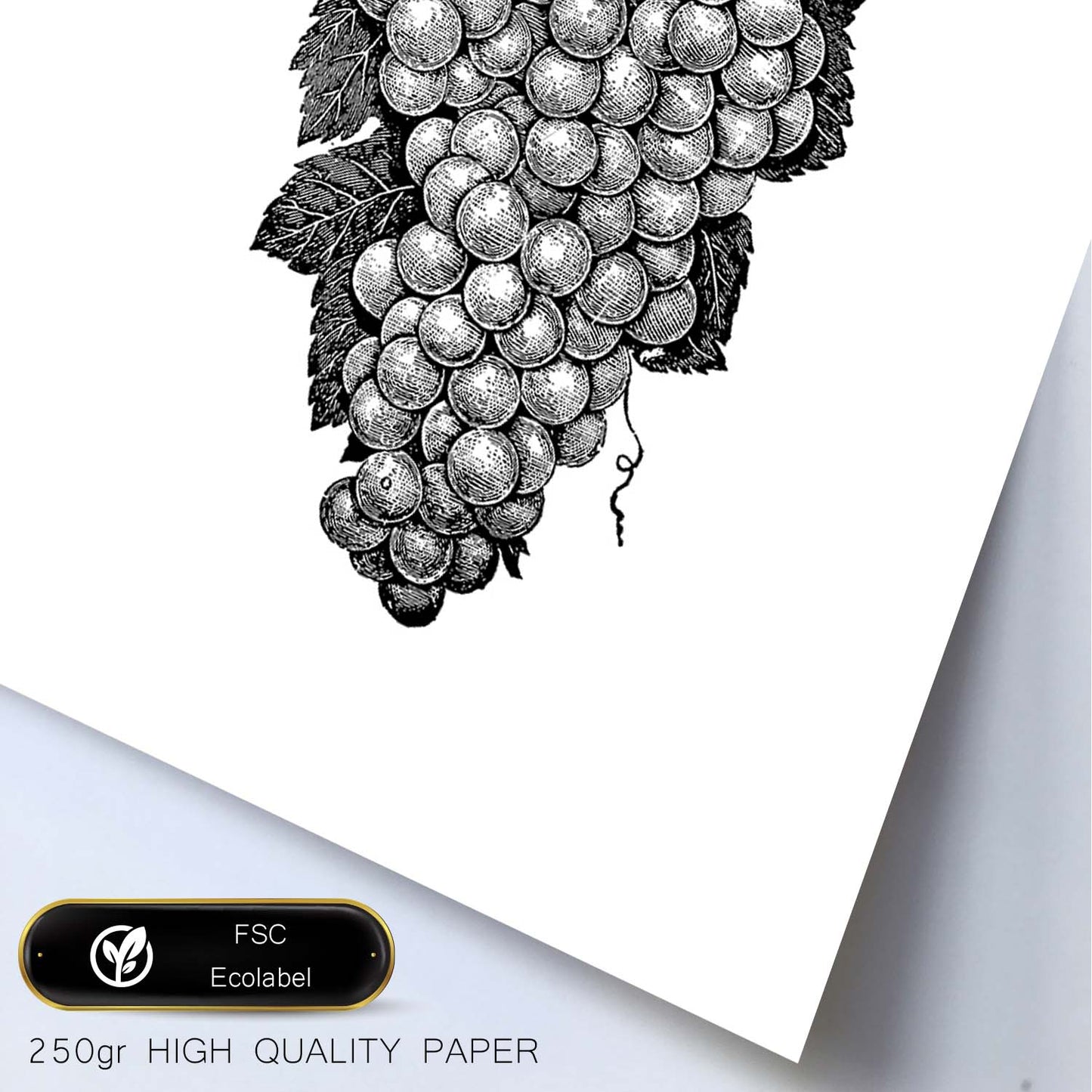 Poster de Grapes. Láminas de frutas y verduras en inglés.-Artwork-Nacnic-Nacnic Estudio SL