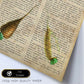 Poster de 4 rabanos. Láminas de frutas y verduras con definiciones. Ilustraciones de alimentacion vegetariana.-Artwork-Nacnic-Nacnic Estudio SL