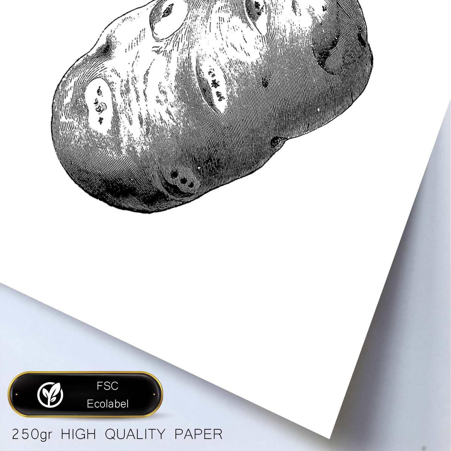 Poster de Potato. Láminas de frutas y verduras en inglés.-Artwork-Nacnic-Nacnic Estudio SL