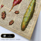 Poster de Patatas. Láminas de frutas y verduras con definiciones. Ilustraciones de alimentacion vegetariana.-Artwork-Nacnic-Nacnic Estudio SL