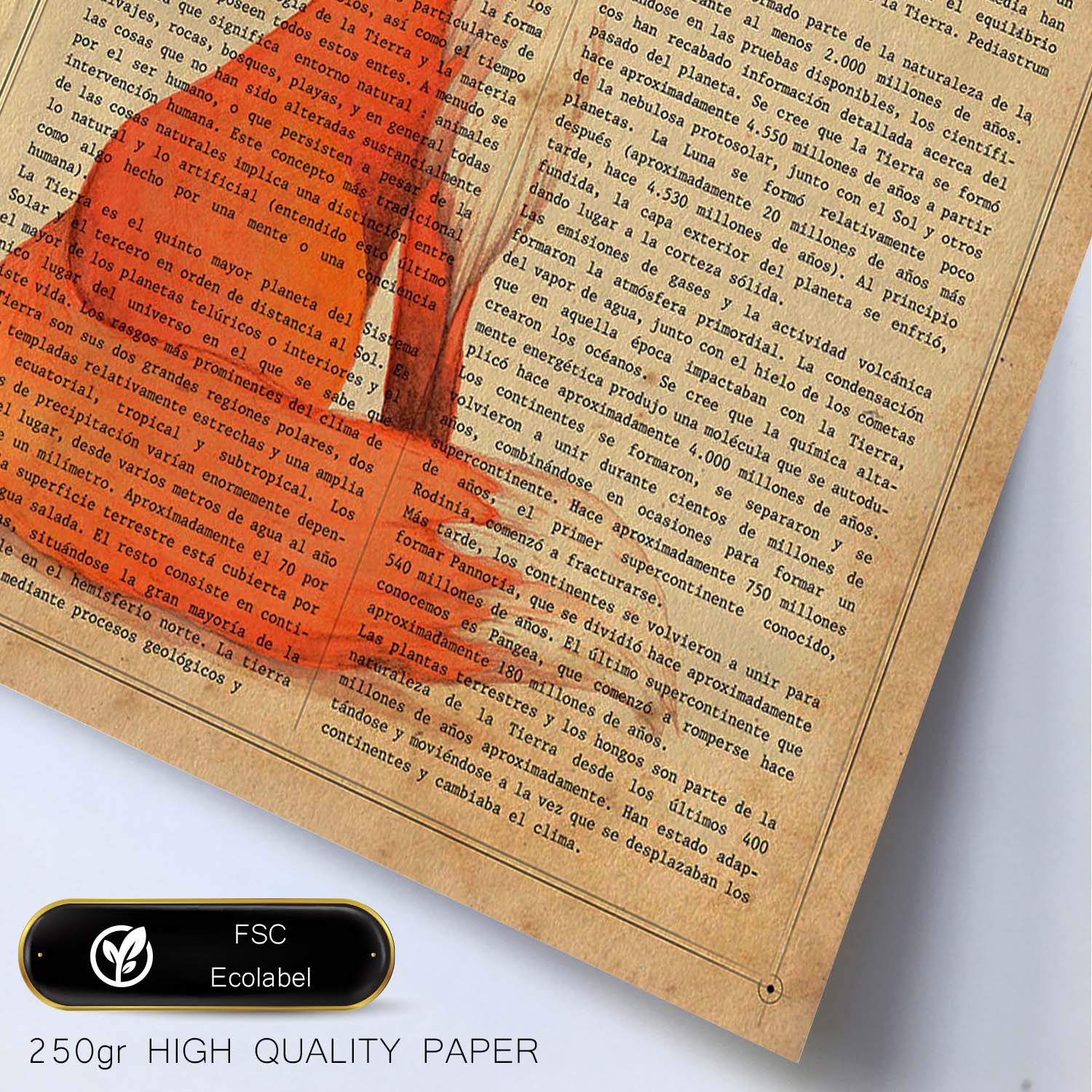 Poster de Foxy con definición. Láminas de animales con texto y definición. Diseño de interiores basado en animales.-Artwork-Nacnic-Nacnic Estudio SL