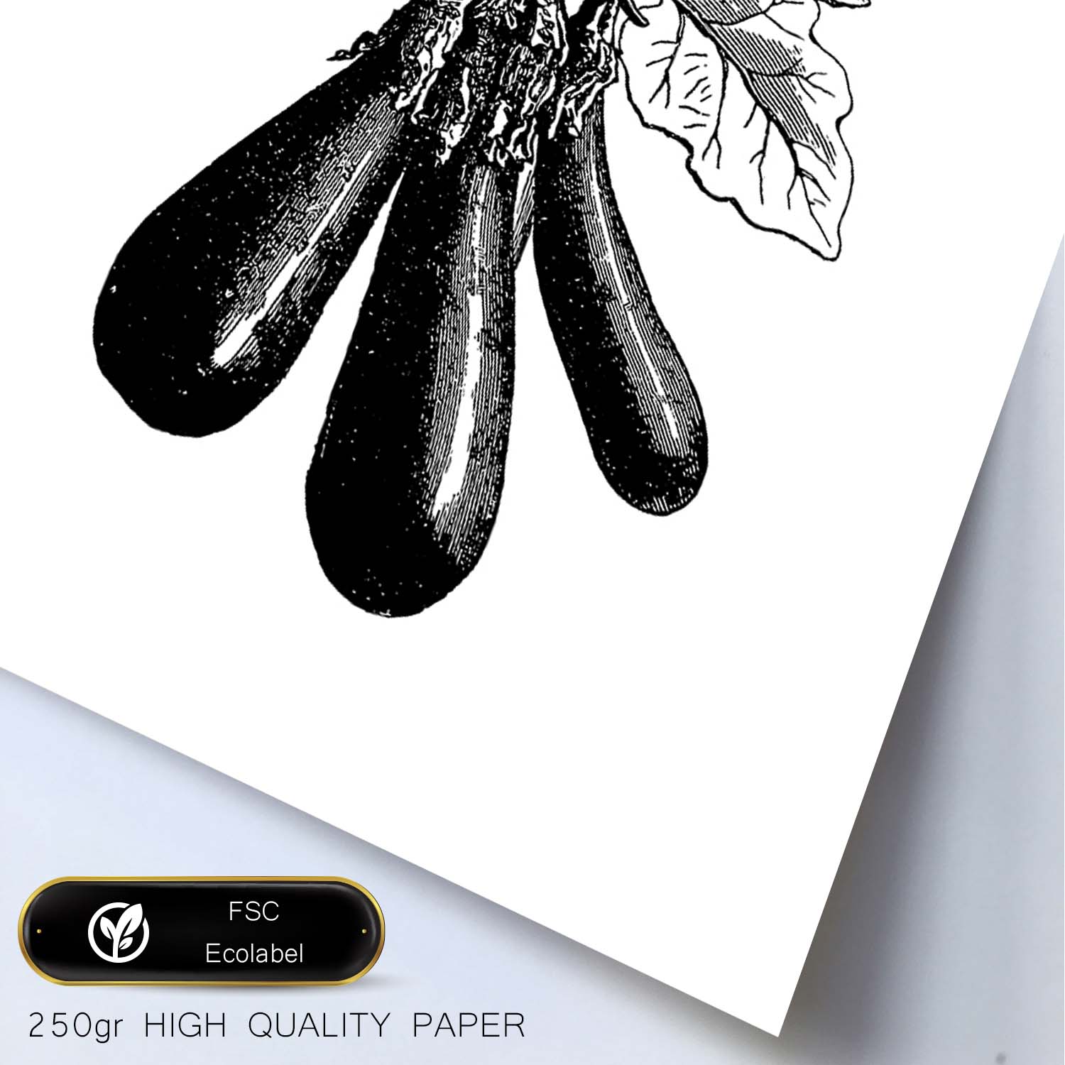Poster de Berenjena. Láminas de frutas y verduras.-Artwork-Nacnic-Nacnic Estudio SL