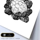 Poster de Coliflor. Láminas de frutas y verduras.-Artwork-Nacnic-Nacnic Estudio SL