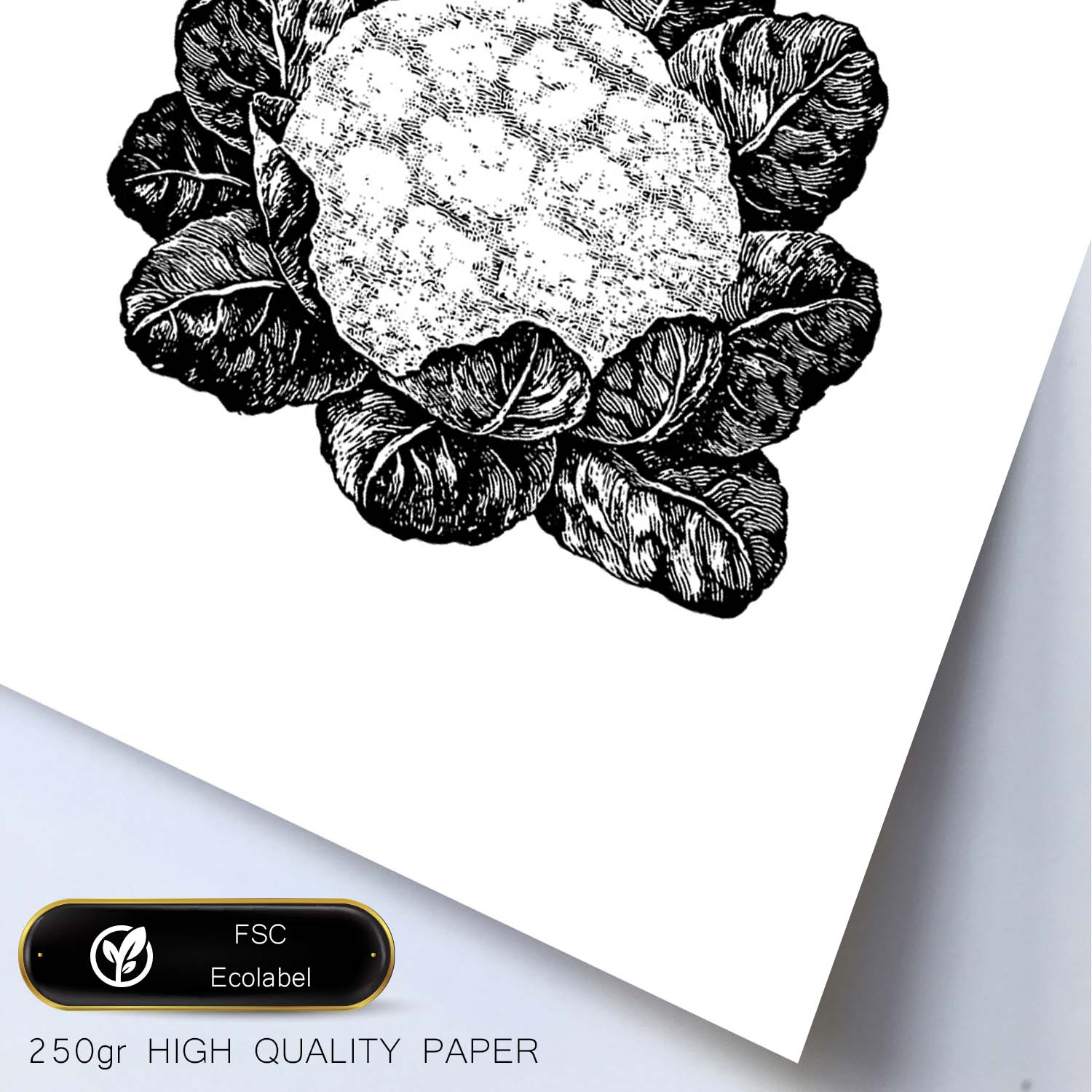 Poster de Coliflor. Láminas de frutas y verduras.-Artwork-Nacnic-Nacnic Estudio SL