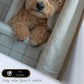 Set de 2 Cuadros Coloridos de Perro en la Ducha, Ilustración de Baño de Cachorros en Estilo Fotográfico, Lindos Animales para Decorar, Arte de Pared para Inodoro, Ducha, Baño, WC
