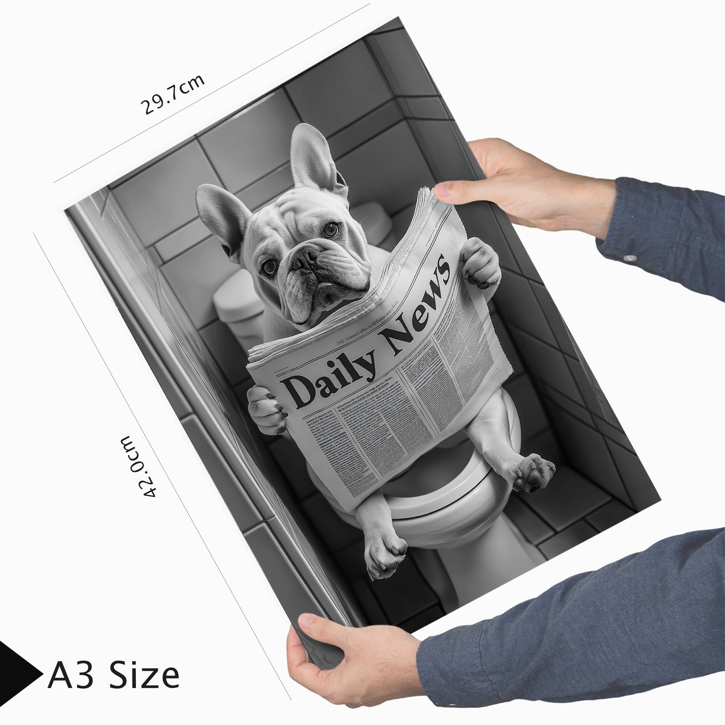 Set de 2 Cuadros de Animales con Periódico en el WC, Perro, Cerdo, Blanco y Negro con Ilustración Impresa en Estilo B/N para Decorar las Paredes del WC, Cuarto de Baño, Aseo, WC