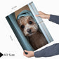 Set de 2 Cuadros Coloridos de Perro en la Ducha, Ilustración de Baño de Cachorros en Estilo Fotográfico, Lindos Animales para Decorar, Arte de Pared para Inodoro, Ducha, Baño, WC