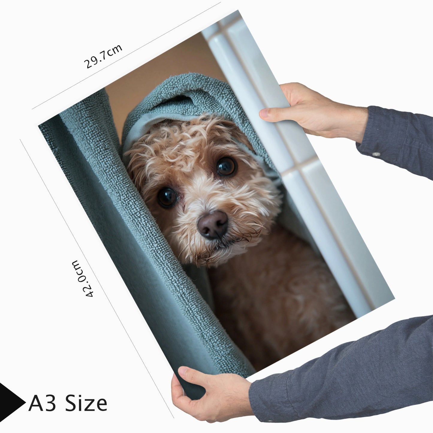 Set de 2 Cuadros Coloridos de Perro en la Ducha, Ilustración de Baño de Cachorros en Estilo Fotográfico, Lindos Animales para Decorar, Arte de Pared para Inodoro, Ducha, Baño, WC