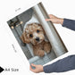 Set de 2 Cuadros Coloridos de Perro en la Ducha, Ilustración de Baño de Cachorros en Estilo Fotográfico, Lindos Animales para Decorar, Arte de Pared para Inodoro, Ducha, Baño, WC