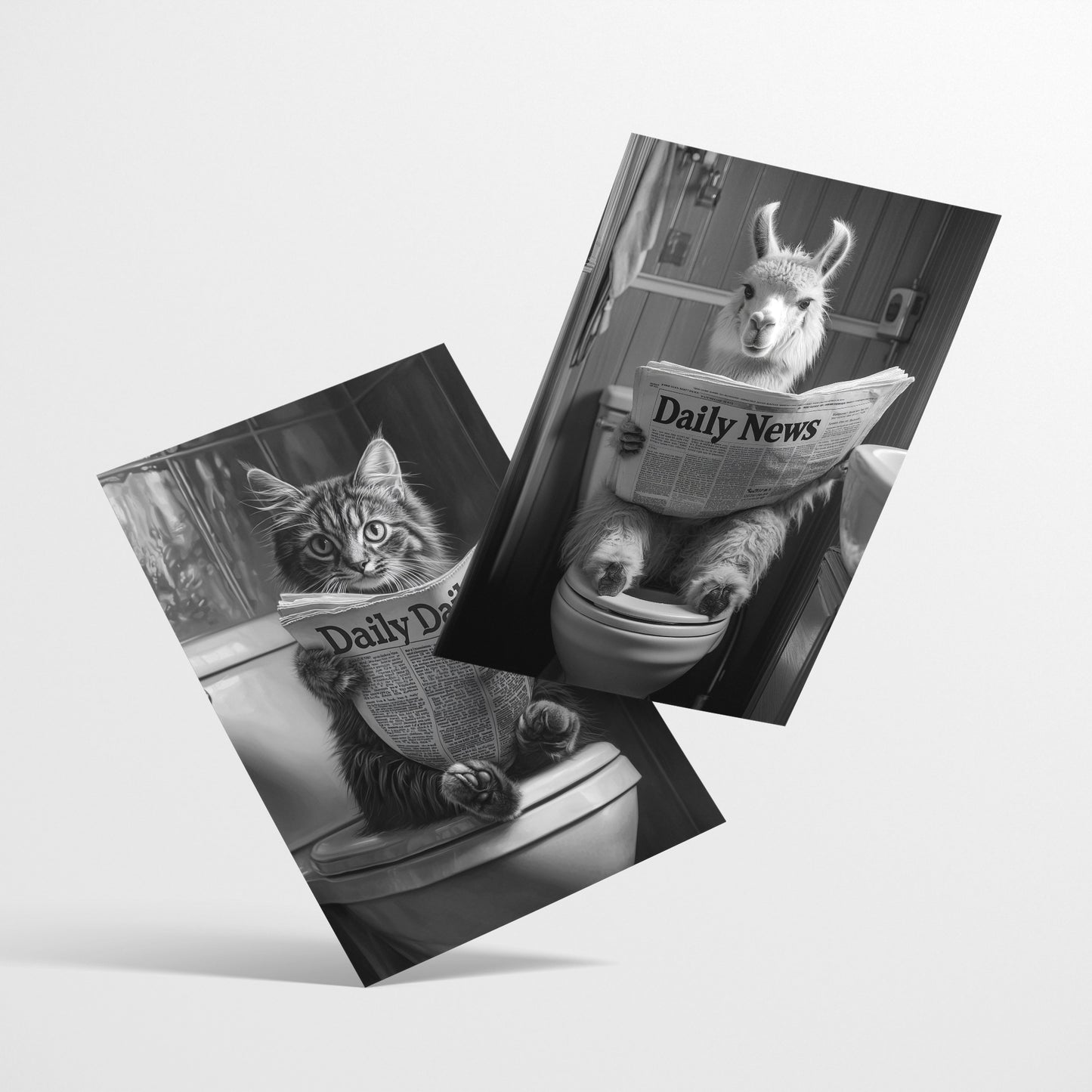 Set de 3 Cuadros Animales Leyendo Periódico En El Inodoro, Gato, Perro, Llama, Póster en Blanco y Negro con Ilustración Impresa en Estilo B/N para Decorar las Paredes del Inodoro, Baño, Lavabo, WC