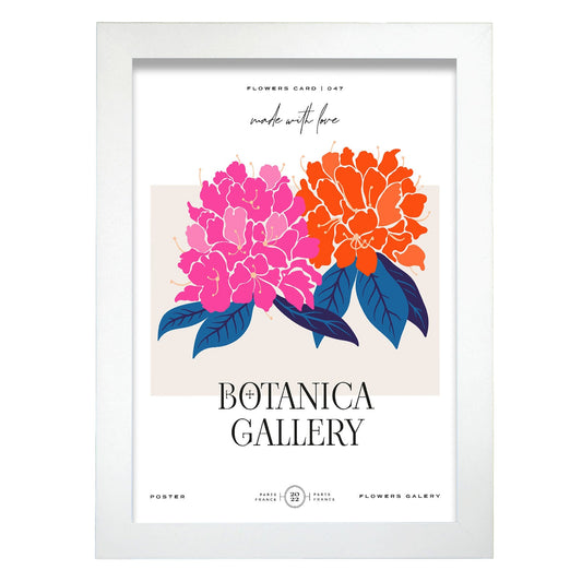 Agapanthus-Artwork-Nacnic-A4-Marco Blanco-Nacnic Estudio SL