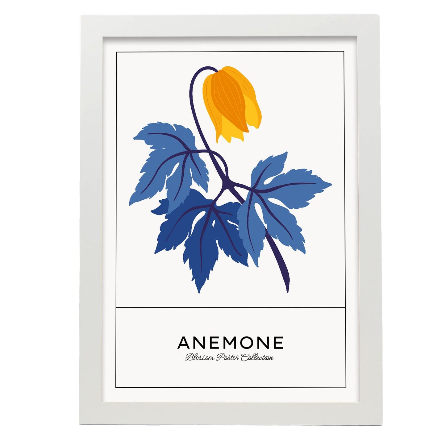 Anemone-Artwork-Nacnic-A3-Marco Blanco-Nacnic Estudio SL