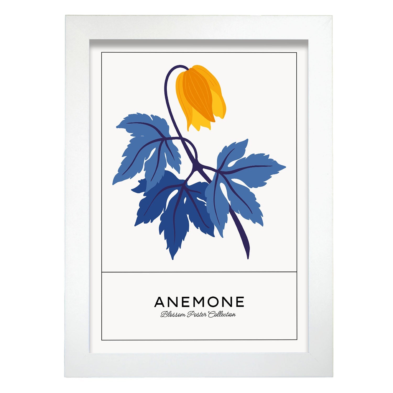 Anemone-Artwork-Nacnic-A4-Marco Blanco-Nacnic Estudio SL