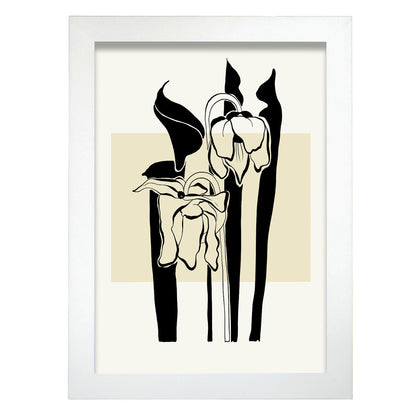 Arum Lily-Artwork-Nacnic-A4-Marco Blanco-Nacnic Estudio SL