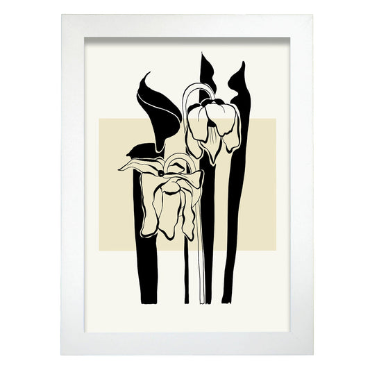 Arum Lily-Artwork-Nacnic-A4-Marco Blanco-Nacnic Estudio SL