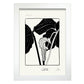 Arum Lily-Artwork-Nacnic-A4-Marco Blanco-Nacnic Estudio SL