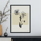 Aster-Artwork-Nacnic-Nacnic Estudio SL