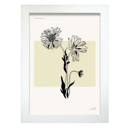 Aster-Artwork-Nacnic-A4-Marco Blanco-Nacnic Estudio SL