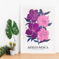 Azalea Indica-Artwork-Nacnic-Nacnic Estudio SL
