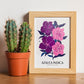 Azalea Indica-Artwork-Nacnic-Nacnic Estudio SL