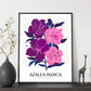 Azalea Indica-Artwork-Nacnic-Nacnic Estudio SL