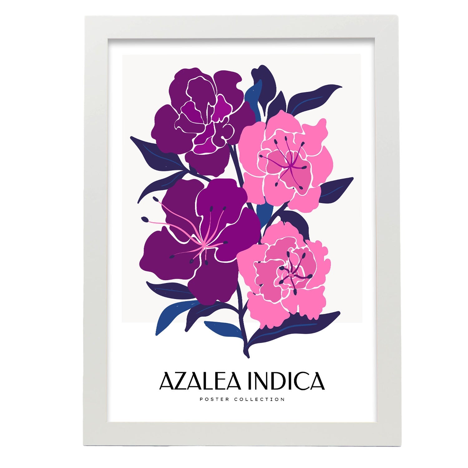 Azalea Indica-Artwork-Nacnic-A3-Marco Blanco-Nacnic Estudio SL