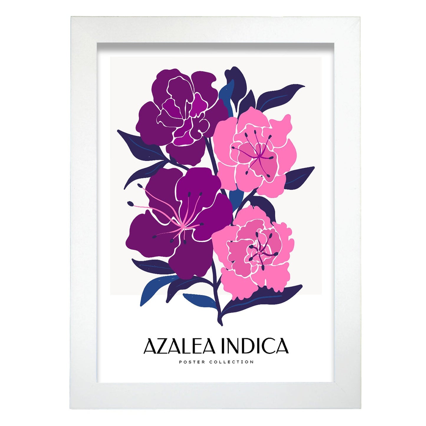 Azalea Indica-Artwork-Nacnic-A4-Marco Blanco-Nacnic Estudio SL