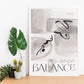 Balancer-Artwork-Nacnic-Nacnic Estudio SL