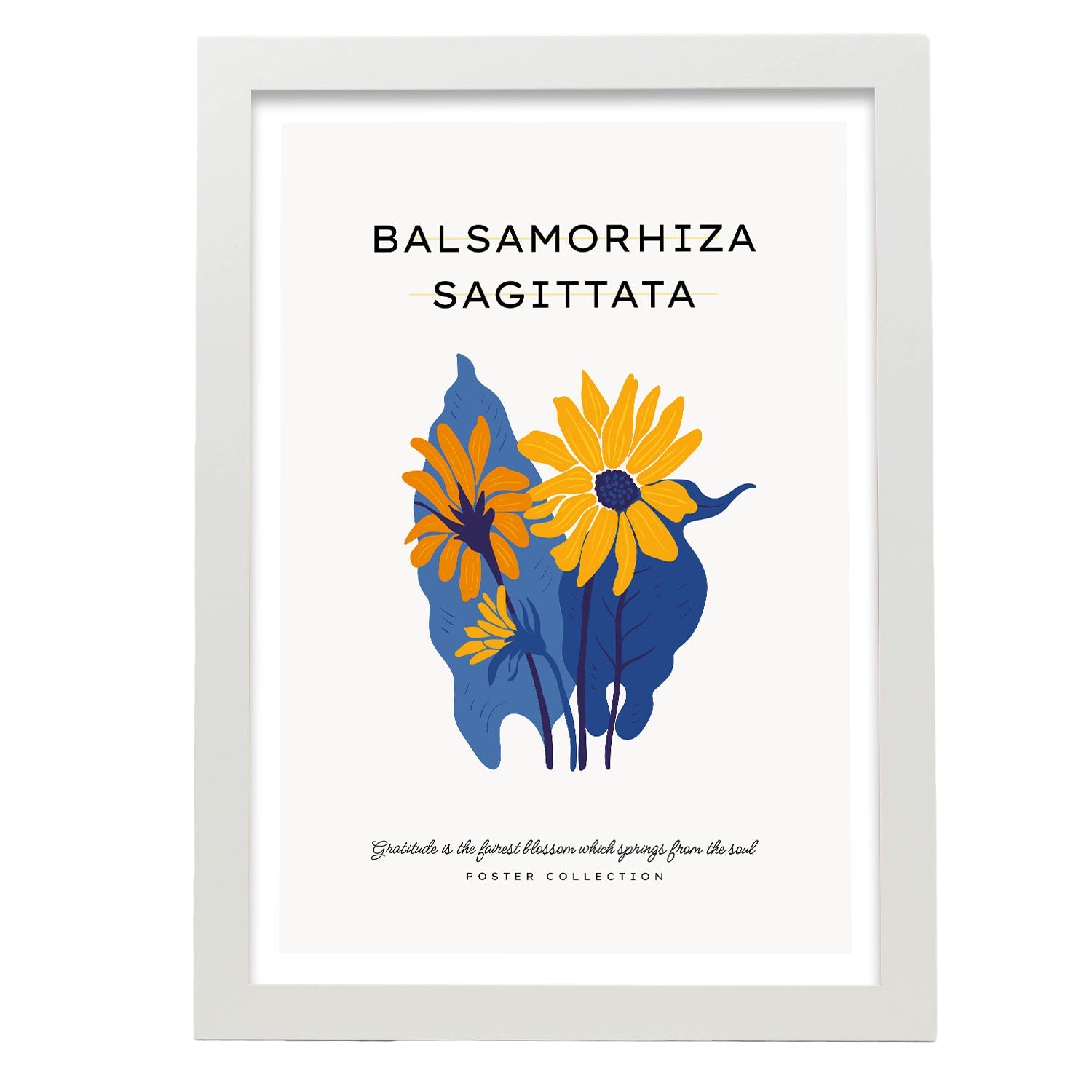 Balsamorhiza Sagittata-Artwork-Nacnic-A3-Marco Blanco-Nacnic Estudio SL