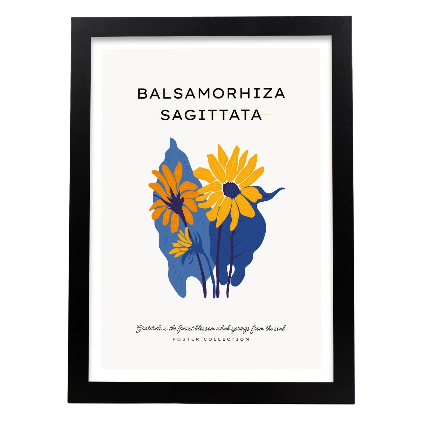Balsamorhiza Sagittata-Artwork-Nacnic-A3-Sin marco-Nacnic Estudio SL