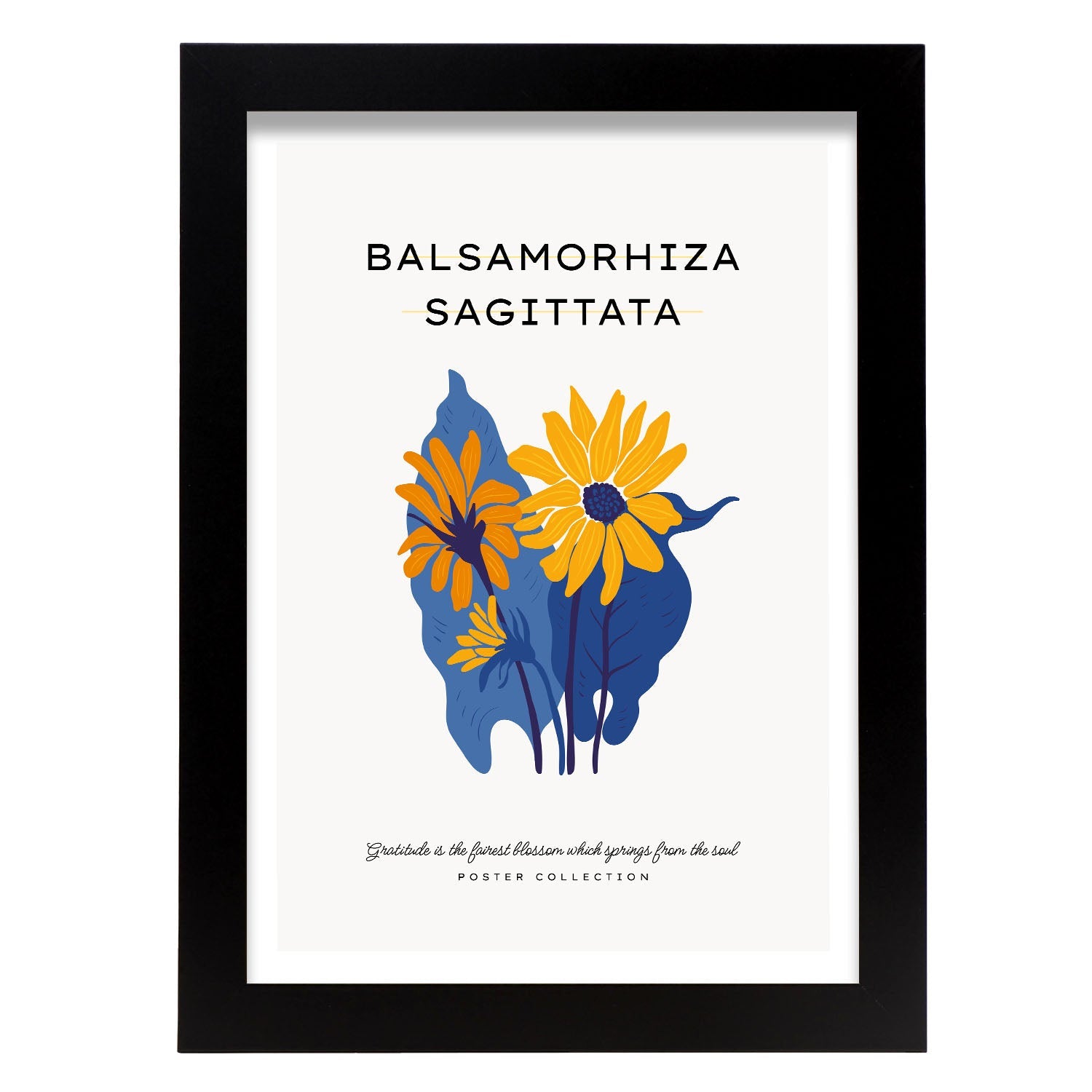 Balsamorhiza Sagittata-Artwork-Nacnic-A4-Sin marco-Nacnic Estudio SL