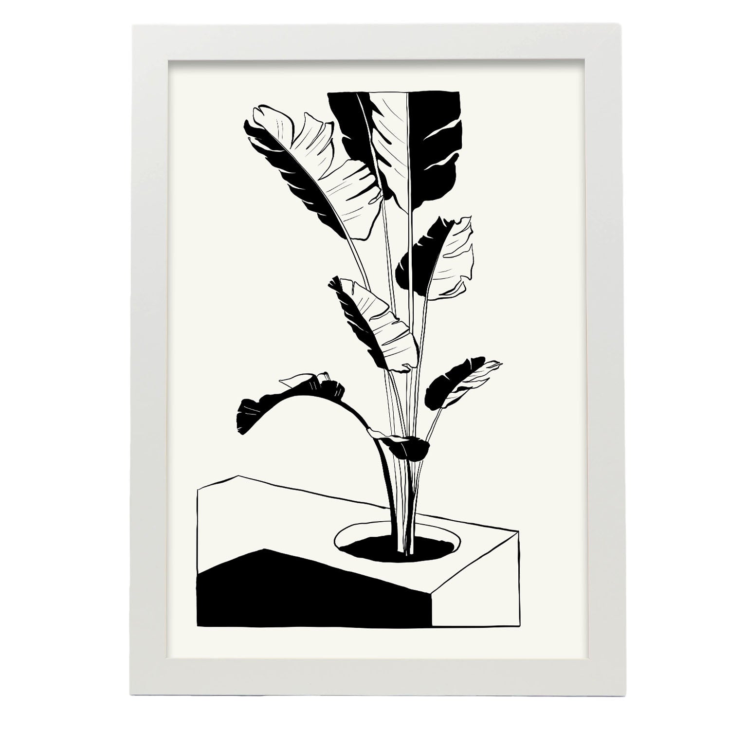 Banana Tree-Artwork-Nacnic-A3-Marco Blanco-Nacnic Estudio SL